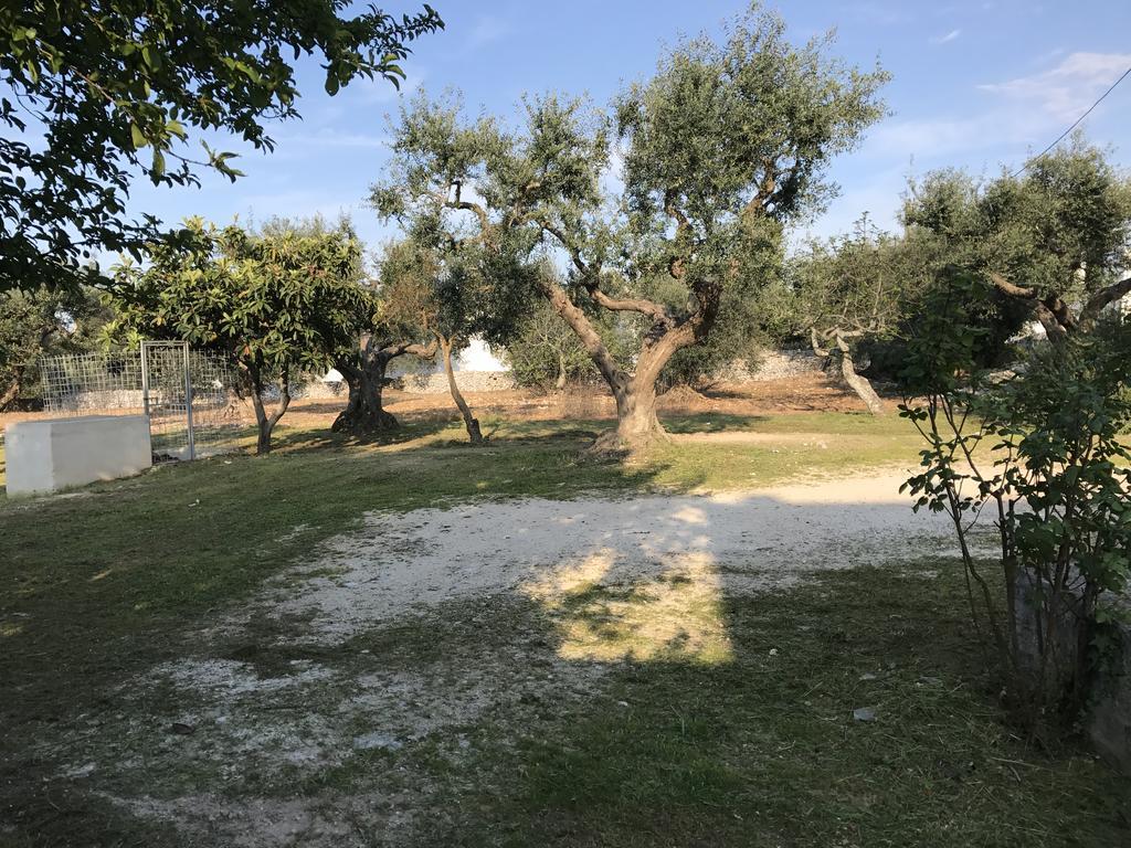 הוילה לוקורוטונדו Il Trullo Di Santanna מראה חיצוני תמונה